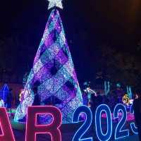 ชมแสงสีอลังการ ที่ ประตูท่าแพ เชียงใหม่
