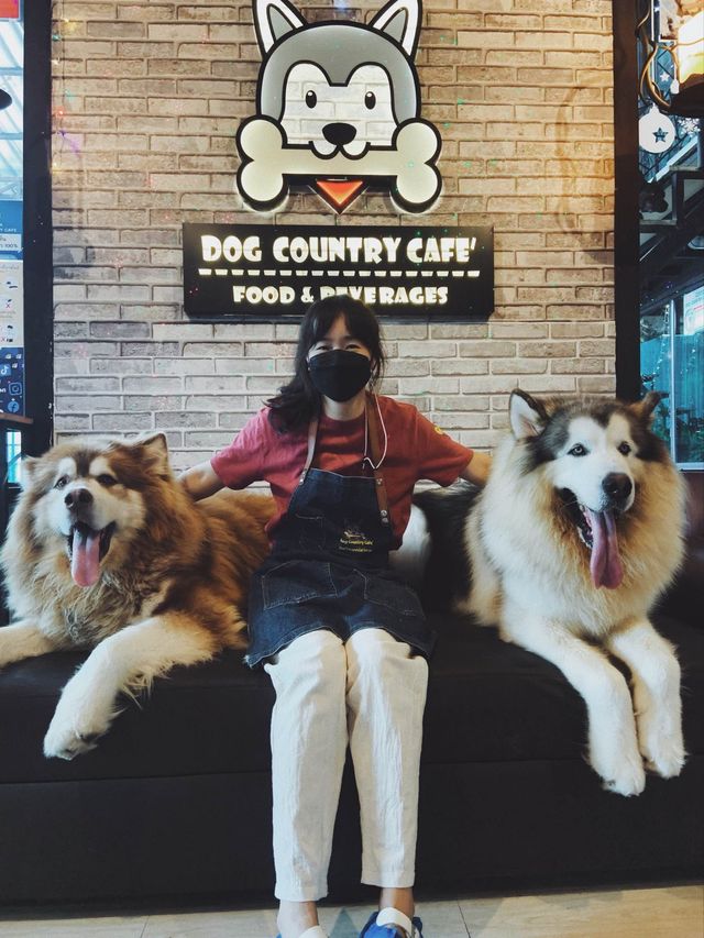 Dog Country Cafe สนุก ไม่จำกัดเวลา
