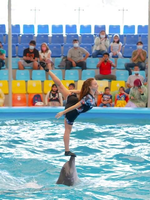  โชว์โลมาภูเก็ต 🐬