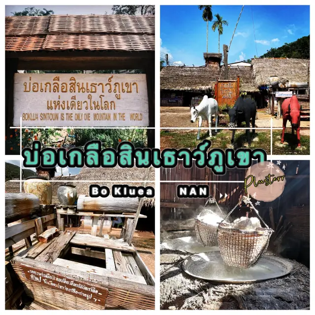 บ่อเกลือสินเธาว์ภูเขา 800 ปี “ที่เดียวในโลก” 