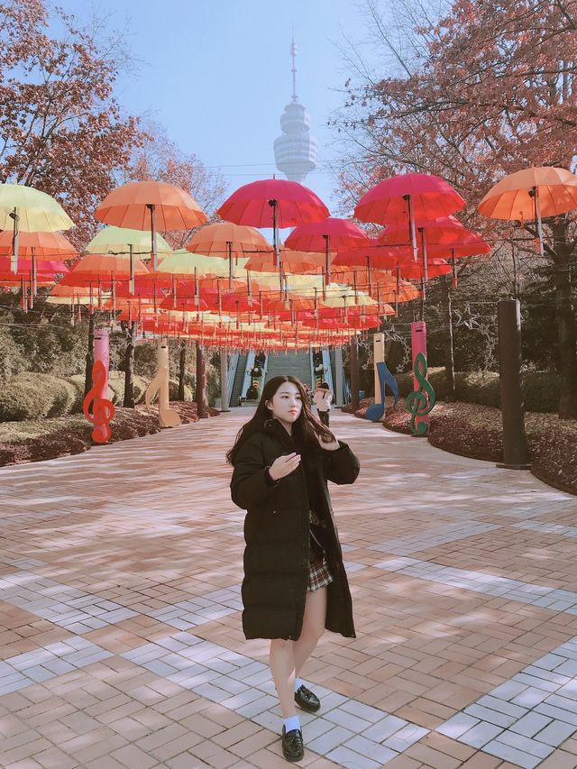 대구에서 포토존이 가장 많은 곳 🌸