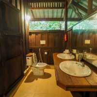 Our Jungle House 