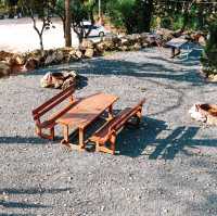 นอนรถบ้านสไตล์ Glamping บรรยากาศดีๆที่แม่ลาย