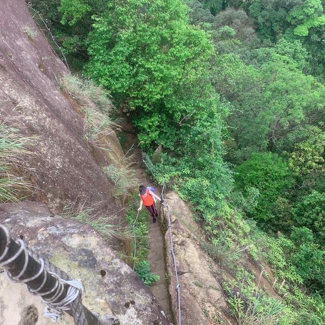 Xiaozishan Trail 孝子山步道🐾爬爬山呼吸新鮮空氣🌳新北平溪