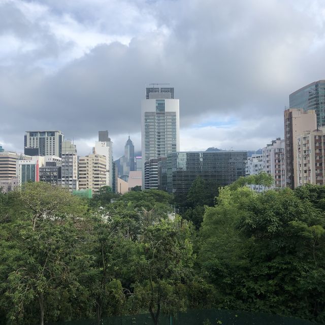 公園都有個打卡瞭望台😎
