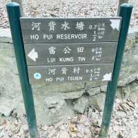 河背水塘