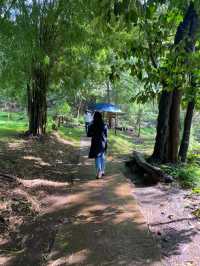 🌳ชุ่มฉ่ำกับธรรมชาติ น้ำตกก้อหลวง ณ ลำพูน🐠