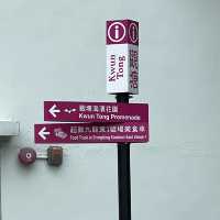 賞花必到～花悅滿城！