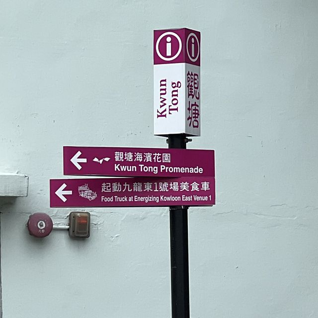 賞花必到～花悅滿城！