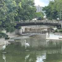 賞花好地方-屯門公園