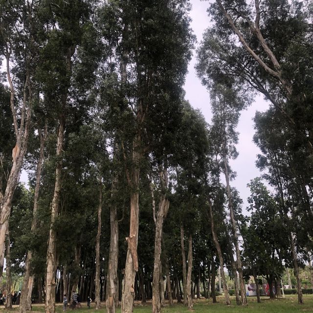 台南山上區水道博物館