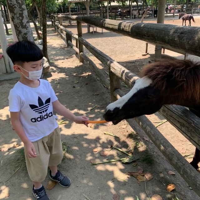 與動物近距離接觸的動物園