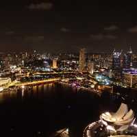 全新加坡🇸🇬最令景酒店🏨天台無邊際泳池❗️