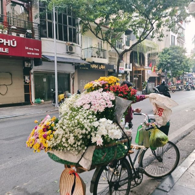 เดินเล่นในฮานอย Hà Nội, Việt Nam