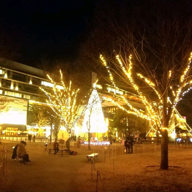 名古屋✨イルミネーション→プラネタリウム