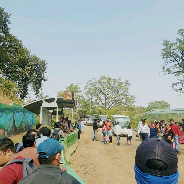 인도의 동물원 Jungle Safari
