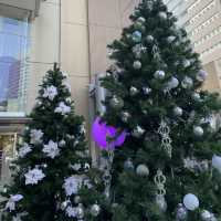 【横浜】CROSS GATE ヨコハマのクリスマス🎄
