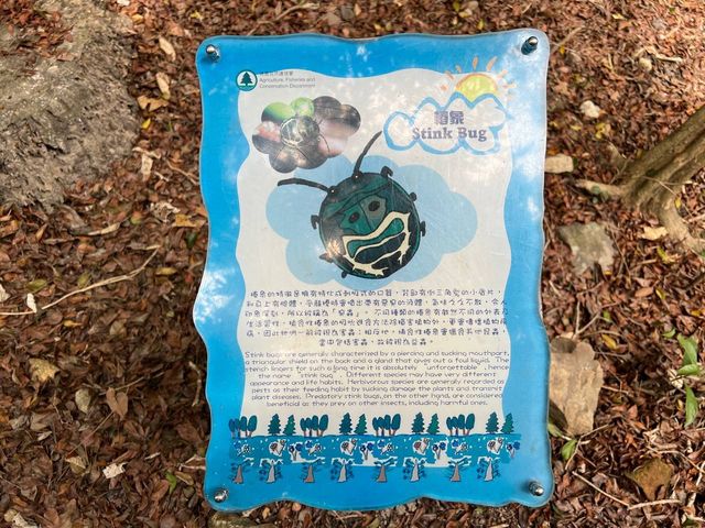 香港仔郊野公園