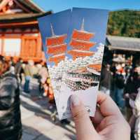 Get the right time and weather @Kiyomizu-dera