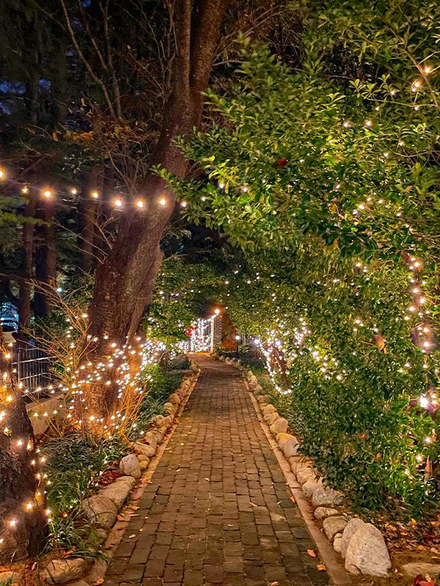 부산에서 가장 핫한 겨울 카페 🎄❄️