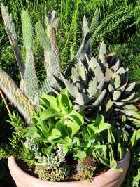 Bok Tower Gardens, Florida's hidden paradise