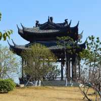 Xinlong Ecological Forest - Changzhou 