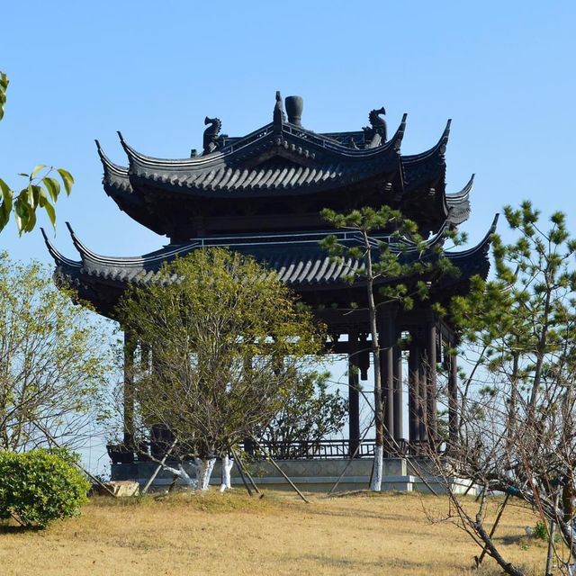 Xinlong Ecological Forest - Changzhou 