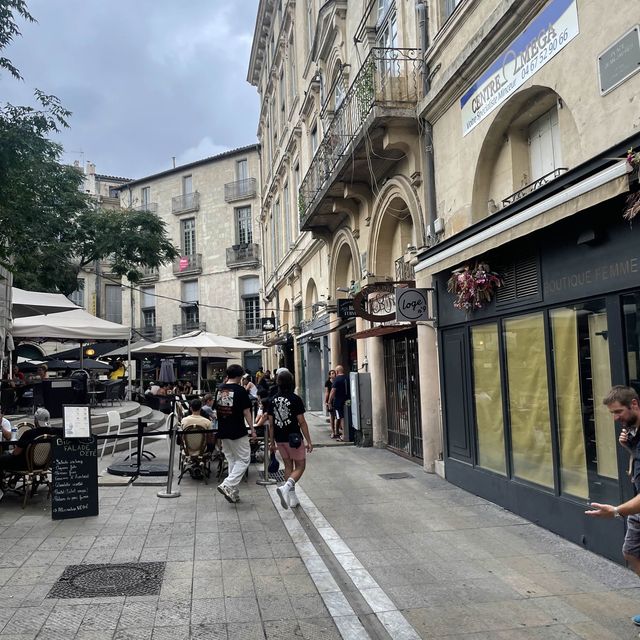 Montpellier diaries 