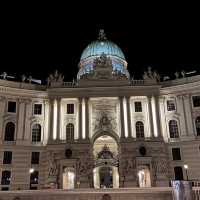 Vienna Night view 🌃