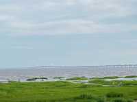 Lingang quest: Nanhuixincheng beach
