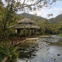 Orchids and Ostriches in Yalong Bay