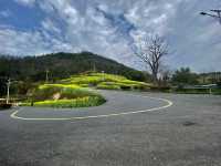 Rape Seed Flowers in Minshengcun, Pujiang