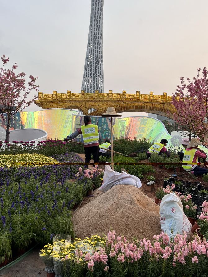 See the flowers blooming in Guangzhou City