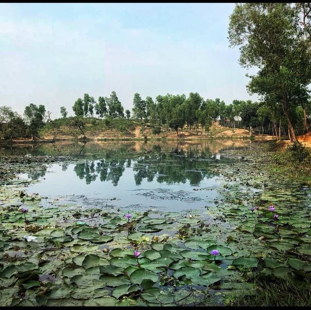 Madhabpur Lake - Sreemangal