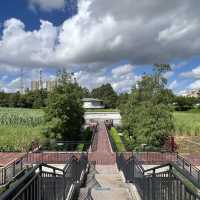 打卡深圳觀瀾濕地公園