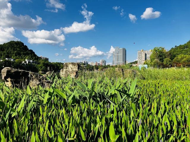 The majestic Yunlou Tower & it’s surroundings