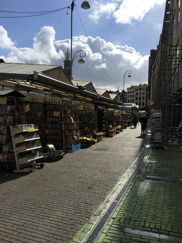 Flower Market ศูนย์รวมดอกไม้แห่ง Amsterdam