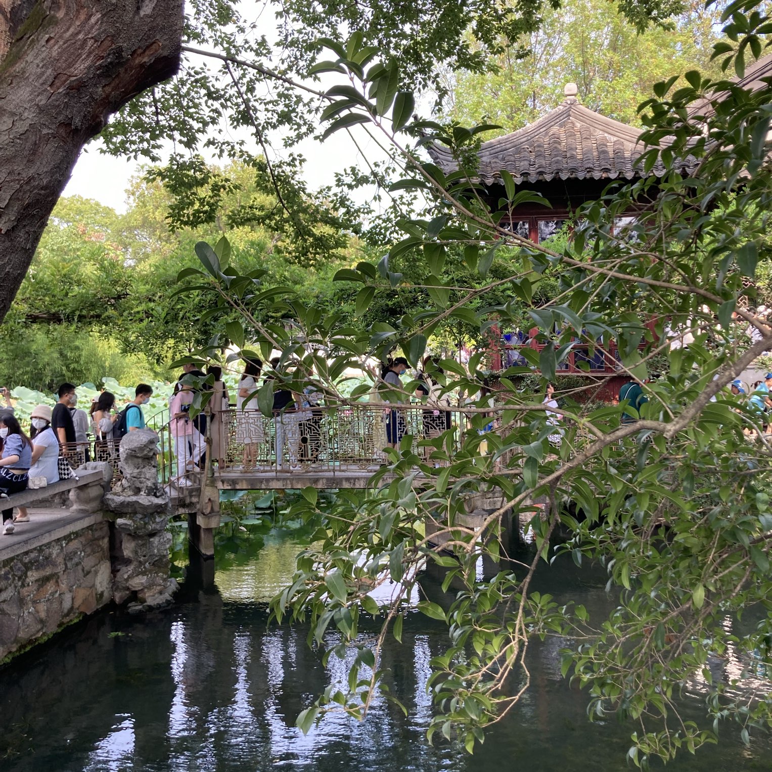 19 Year olds explore 苏州园林/拙政园 | Trip.com Suzhou