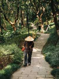 Lush Green Park on a hill in Hangzhou 🌳🌿🌸