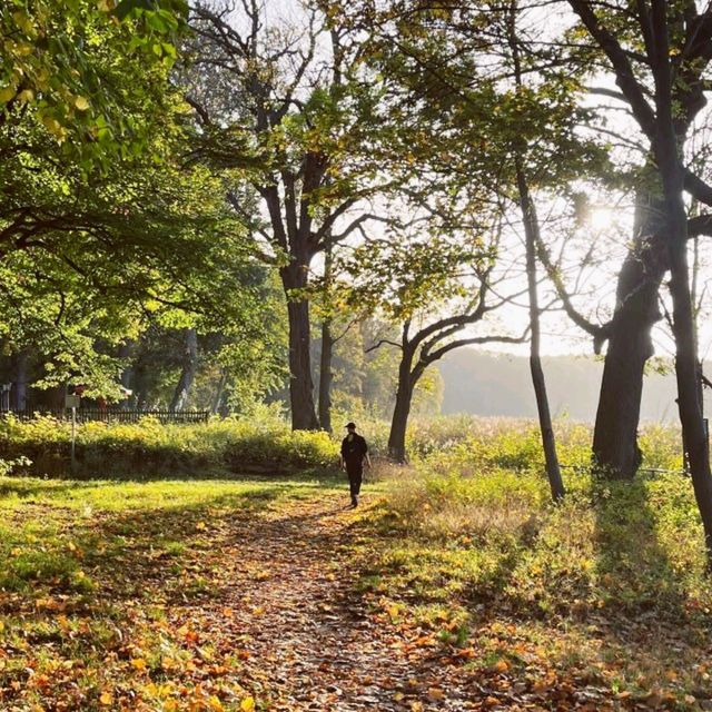 Autumn-Hike around Berlin's Wannsee