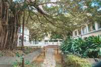 尋找鬧市中的寧靜 - 九龍公園