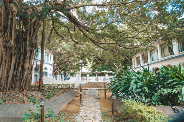 尋找鬧市中的寧靜 - 九龍公園
