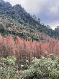 Winter Hike in Chengdu's Nanbao Mountain