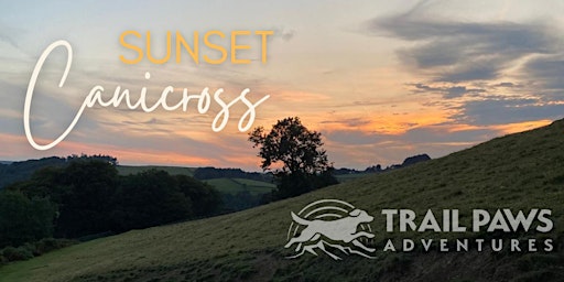 Sunset Canicross | Therfield Heath, Baldock Road, Royston, UK