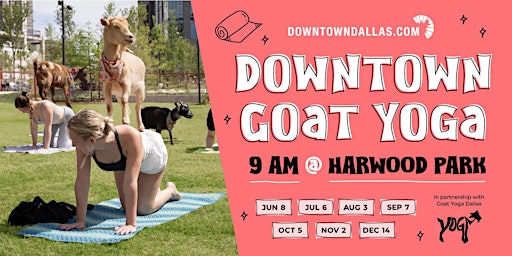 Halloween Costume Goat Yoga Downtown Dallas! | Harwood Park