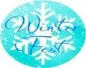 Great Yorkshire Vegan Christmas Market 2024 | Leeds Outdoor Market, England, UK