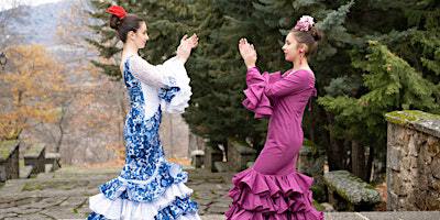 Flamenco Nights: Music, Dance, and Spanish Cuisine at Ole Tapas | 132 Rue Ste Anne