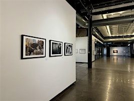 "Colorado Perspectives: Visions in Photography" Opening Reception | McNichols Civic Center Building