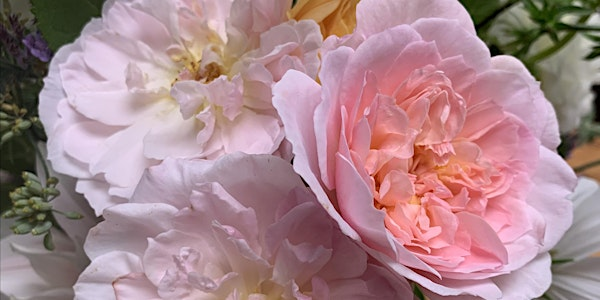 Solopreneurs June Breakfast Club | Forge:health.art.space