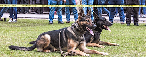 Big Mac's K9 Rescue Presents Punches for Pups-Battle of the Heroes | Delray Beach Boxing & Fitness